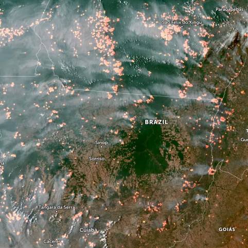 Brazil Forest Fires